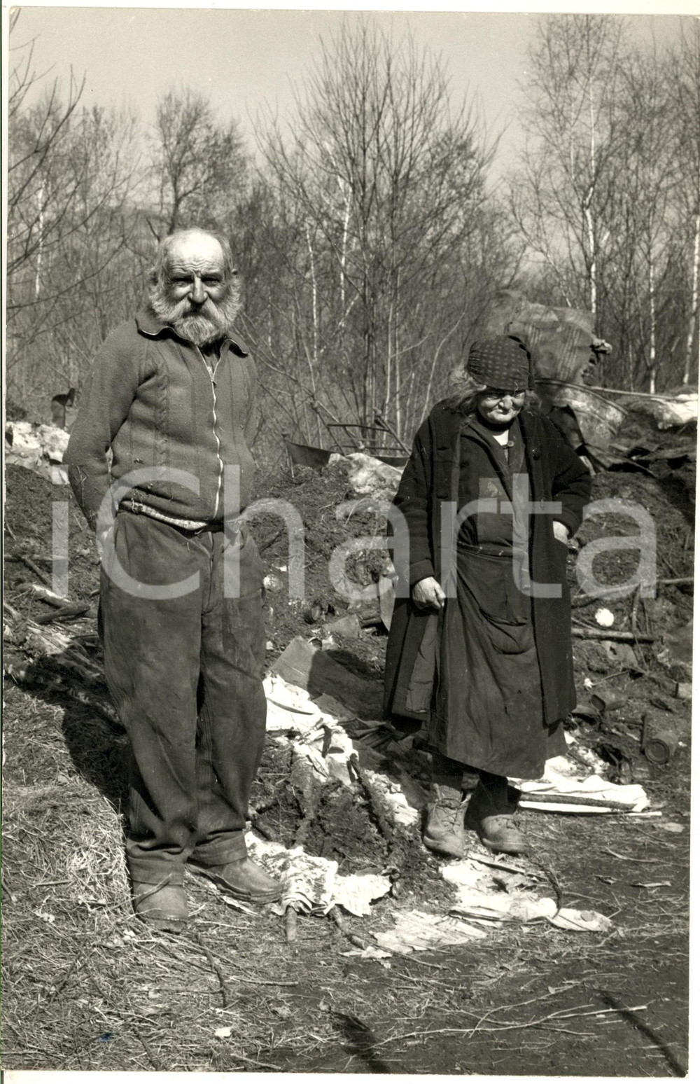 Fotografia d epoca originale 1970 ca ALTA VALTELLINA Vita nei boschi  Coppia di anziani 2  Foto ARTISTICA 1