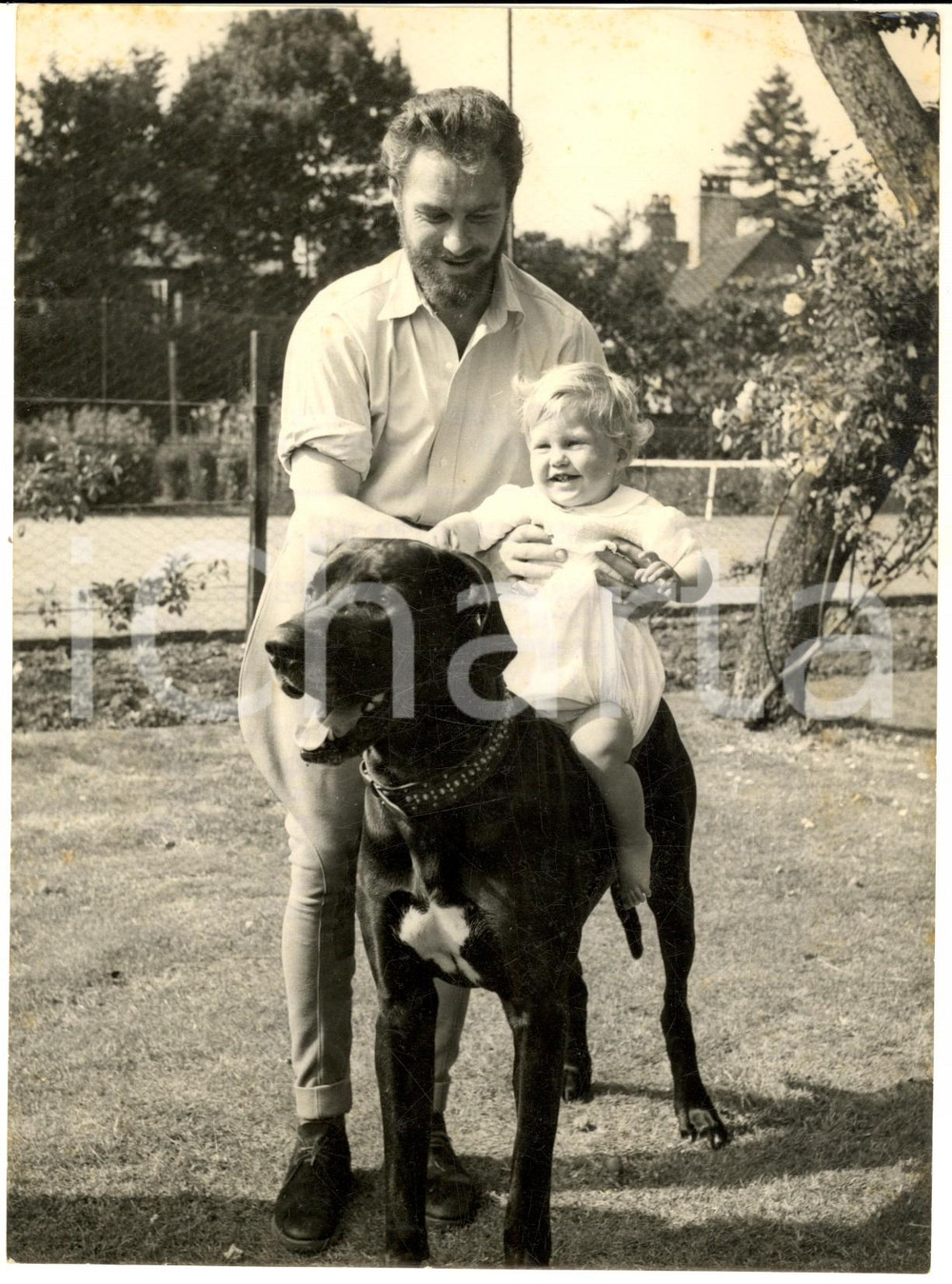 1953 MAIDENHEAD (BERKSHIRE) Richard TODD at home with his son Peter *Photo Fotografia d'epoca con didascalia coeva al verso. CONDIZIONI: GFORMATO: 15x20 cm     originale e autentica 1