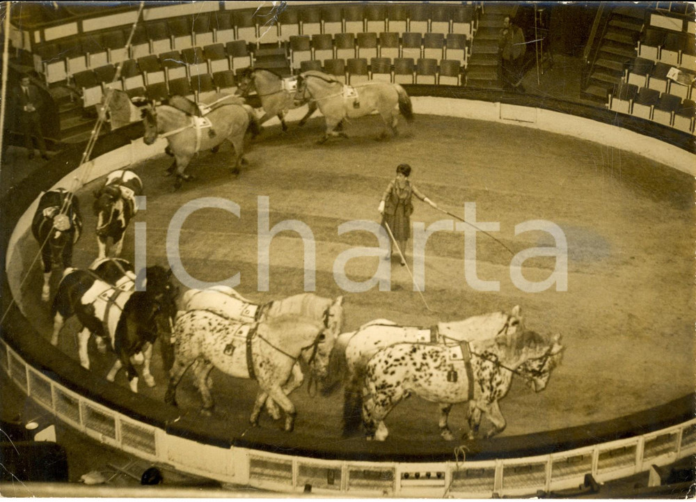 1963 PARIS Cirque d'Hiver - Gina LOLLOBRIGIDA si esibisce con i cavalli *Foto