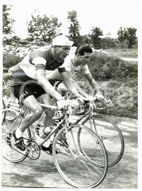 Fotografia d epoca originale 1953 GIRO D ITALIA 3° Tappa  Gino BARTALI e Guido DE SANTI durante la gara Foto 1