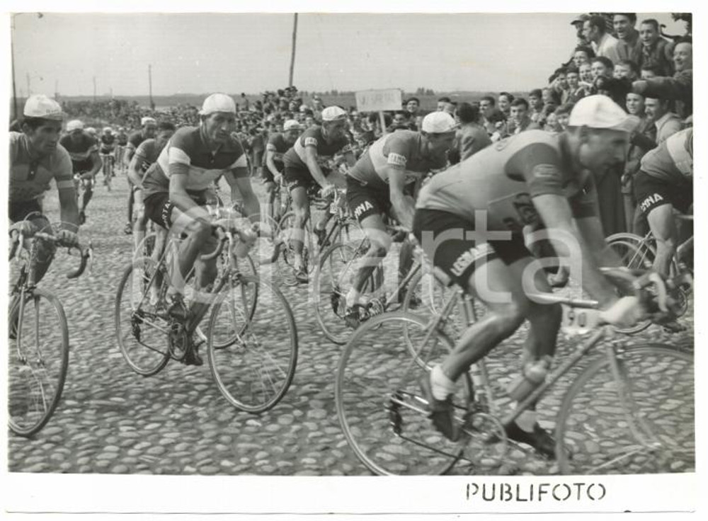 1953 GIRO D'ITALIA 1° Tappa - Gino BARTALI nel gruppo dopo CREMONA *Foto 18x13