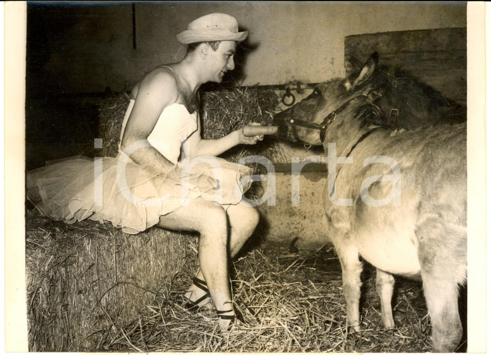 Fotografia d epoca originale 1957 FRANCE Fernand Raynaud avec un âne du Cirque Medrano Photo 13x18 cm 1