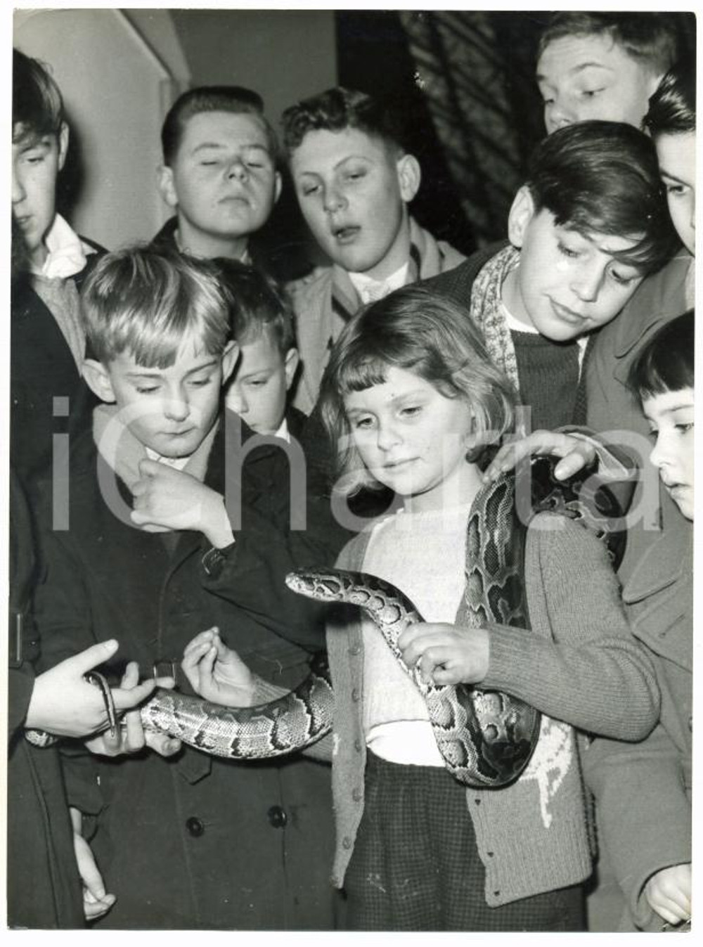 1960 LONDON OLYMPIA Girl with python on shoulders at Schooolboys Own Exhibition