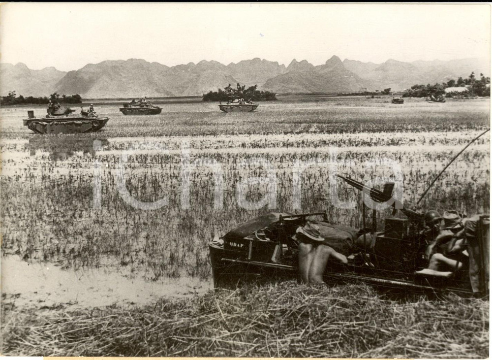 1954 GUERRA DEL VIETNAM Evacuazione del Sud - Blindati in una risaia *Foto