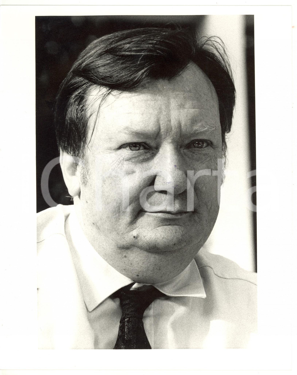 1985 ca MILANO Ritratto del fisico italiano Carlo RUBBIA *Foto 20x25 cm