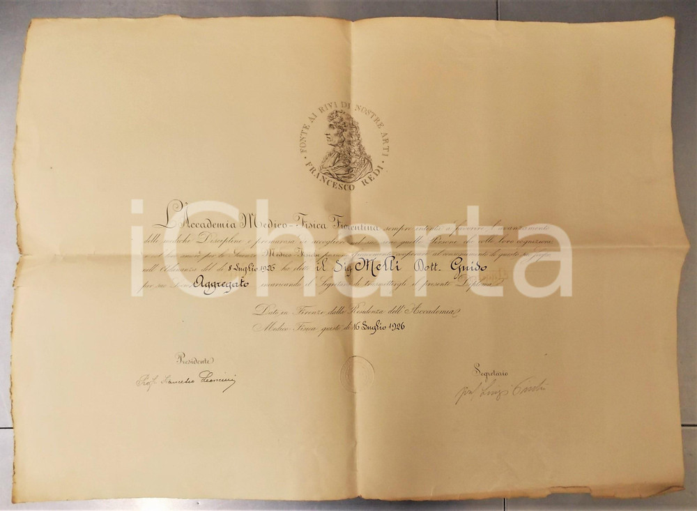 1926 FIRENZE Accademia Medico-Fisica Fiorentina - Diploma Guido MELLI socio