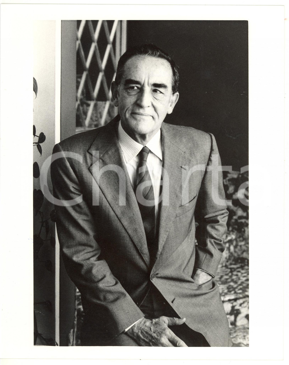Fotografia d epoca originale 1988 CINEMA Ritratto di Vittorio GASSMAN  Fotografia ARTISTICA 20x25 cm 1