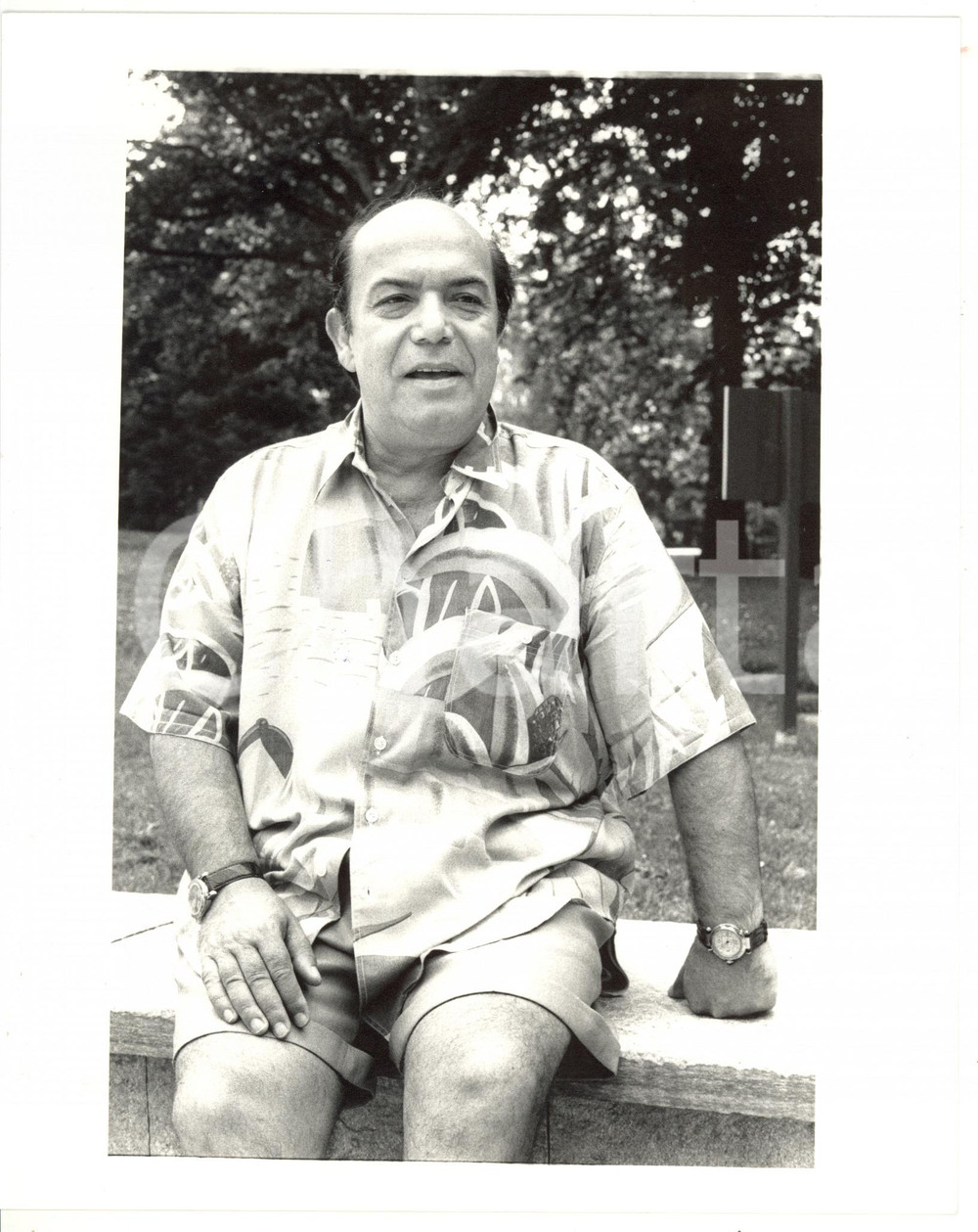 1990 ca COSTUME Ritratto Lino BANFI al parco - Foto 20x25 cm