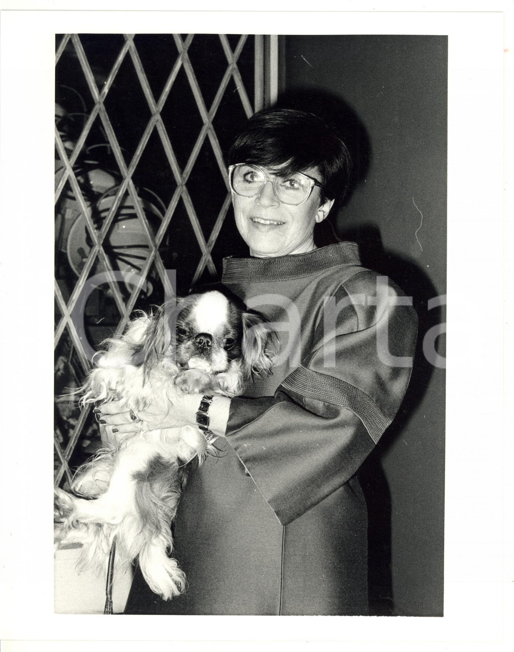 1985 ca MILANO - COSTUME Franca VALERI con il suo cane *Foto VINTAGE 20x25 cm