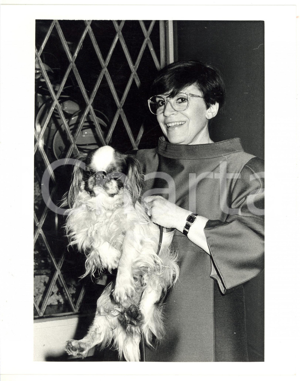 1985 ca MILANO - COSTUME Franca VALERI con il suo cane - Foto VINTAGE 20x25 cm