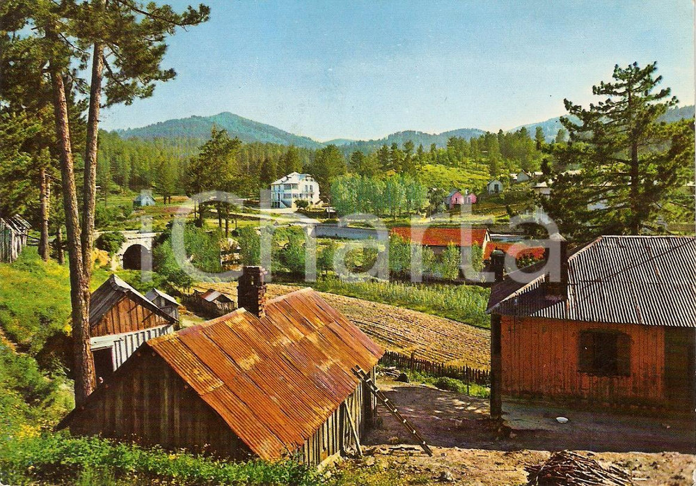 Cartolina originale da collezione 1965 CAMIGLIATELLO SILANO CS Veduta di MOCCONE Cartolina vintage FG VG 1