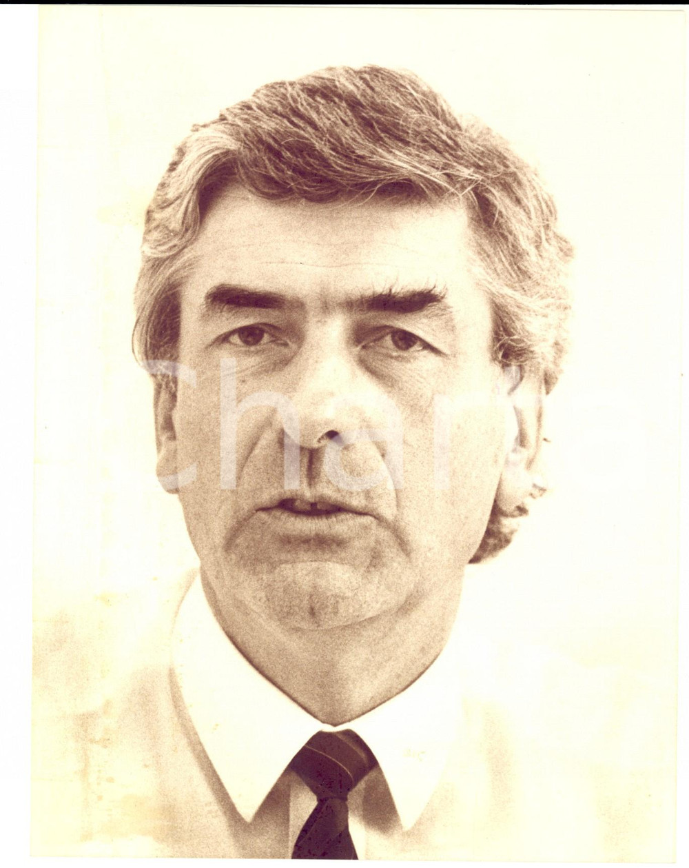 Fotografia d epoca originale 1960 ca PAESI BASSI Ritratto di Ruud LUBBERS Fotografia 16x21cm 1