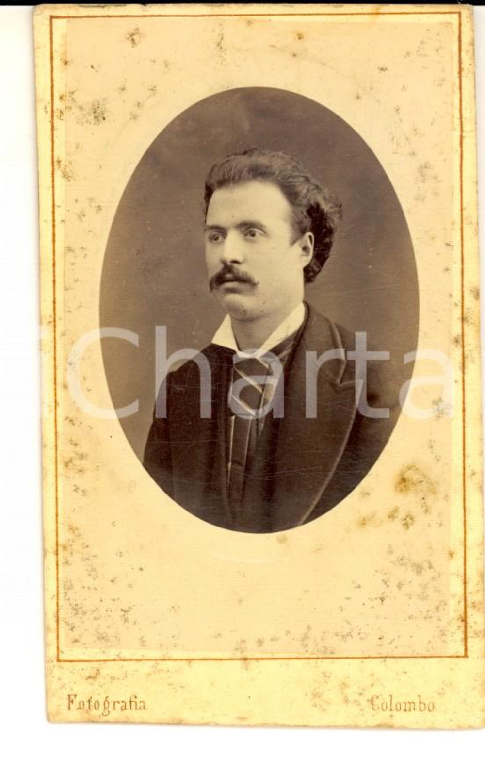 Fotografia d epoca originale 1880 ca NOVARA Ritratto di gentiluomo con cravatta a righe Foto A. COLOMBO CDV 1