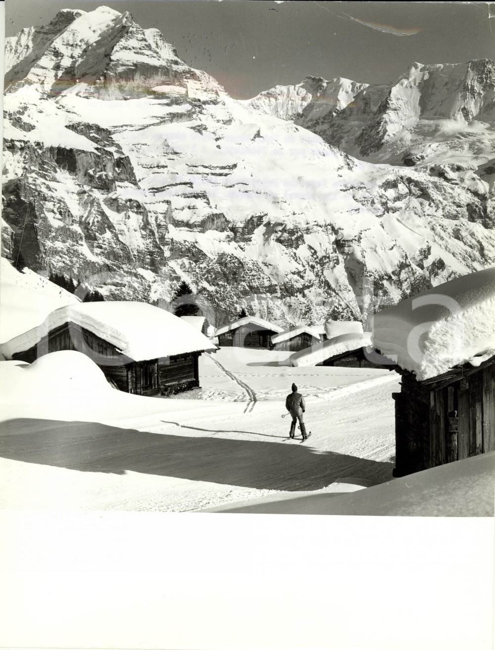 Fotografia d epoca originale 1980 ca SVIZZERA  Monte SCHILTHORN localitÃ  MURREN Sciatore lungo discesa Foto 1