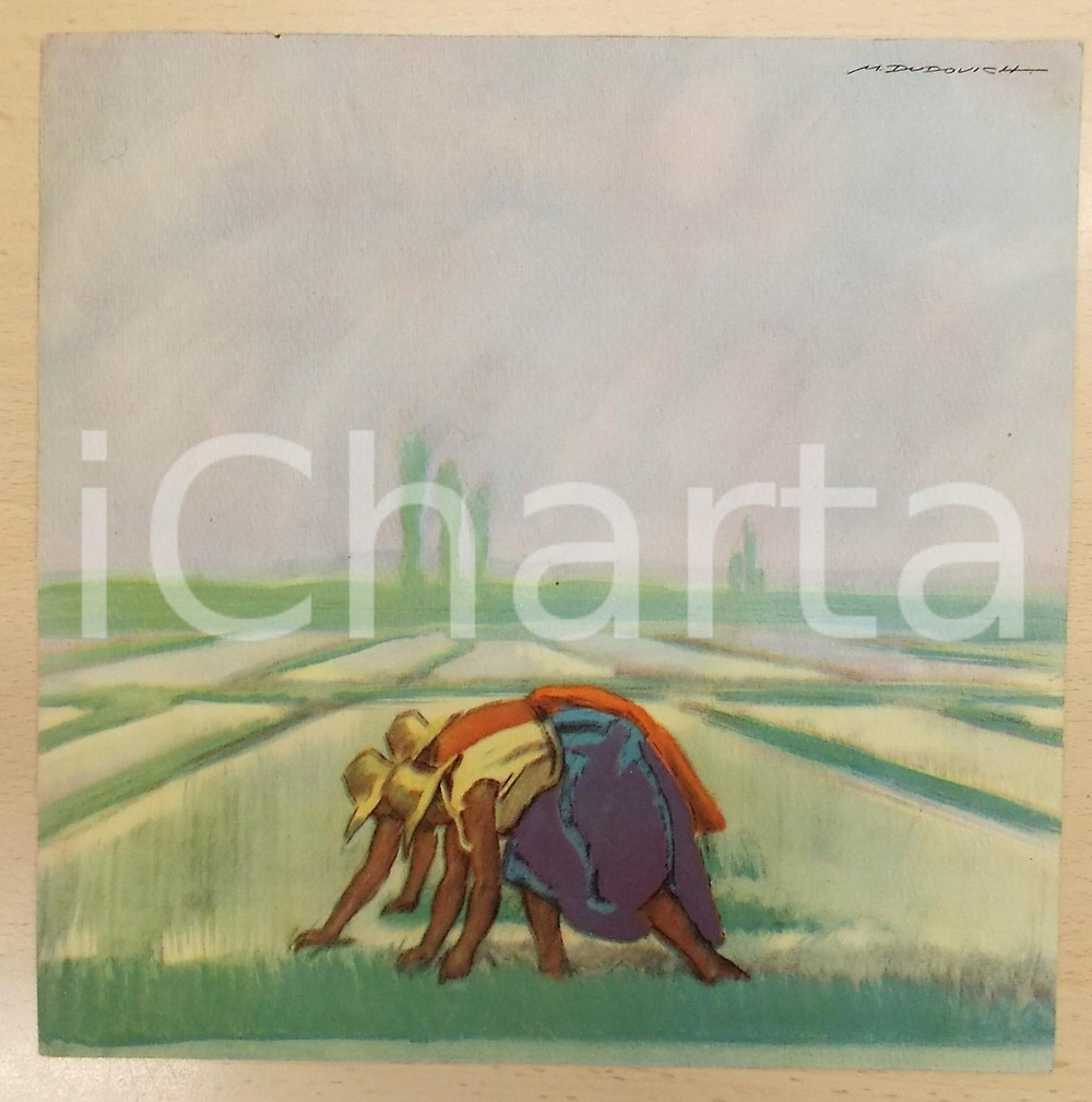 Stampa, bozzetto originale 1950 ca Marcello DUDOVICH Mondine al lavoro in una risaia Stampa 23x23 cm 1