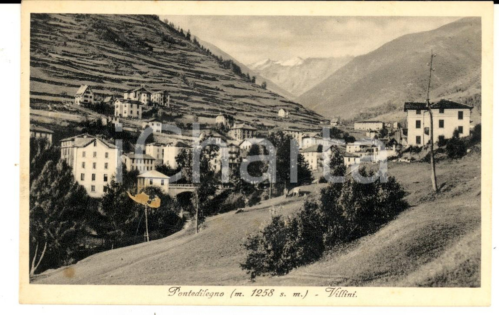 Cartolina originale da collezione 1930 ca PONTEDILEGNO (BS) Veduta con i villini *Cartolina postale FP NV 1