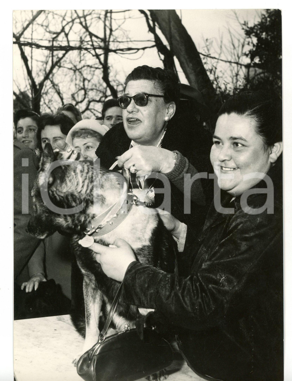 1959 NAPOLI Lega del Cane - Premiazione pastore tedesco JIMMY di Rosaria SACCO