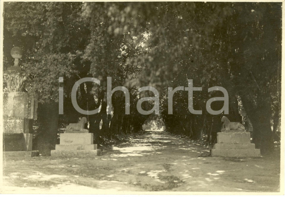 Fotografia d epoca originale 1930 CASTEL GANDOLFO RM Villa BARBERINI  Viale delle SFINGI Fotografia 1