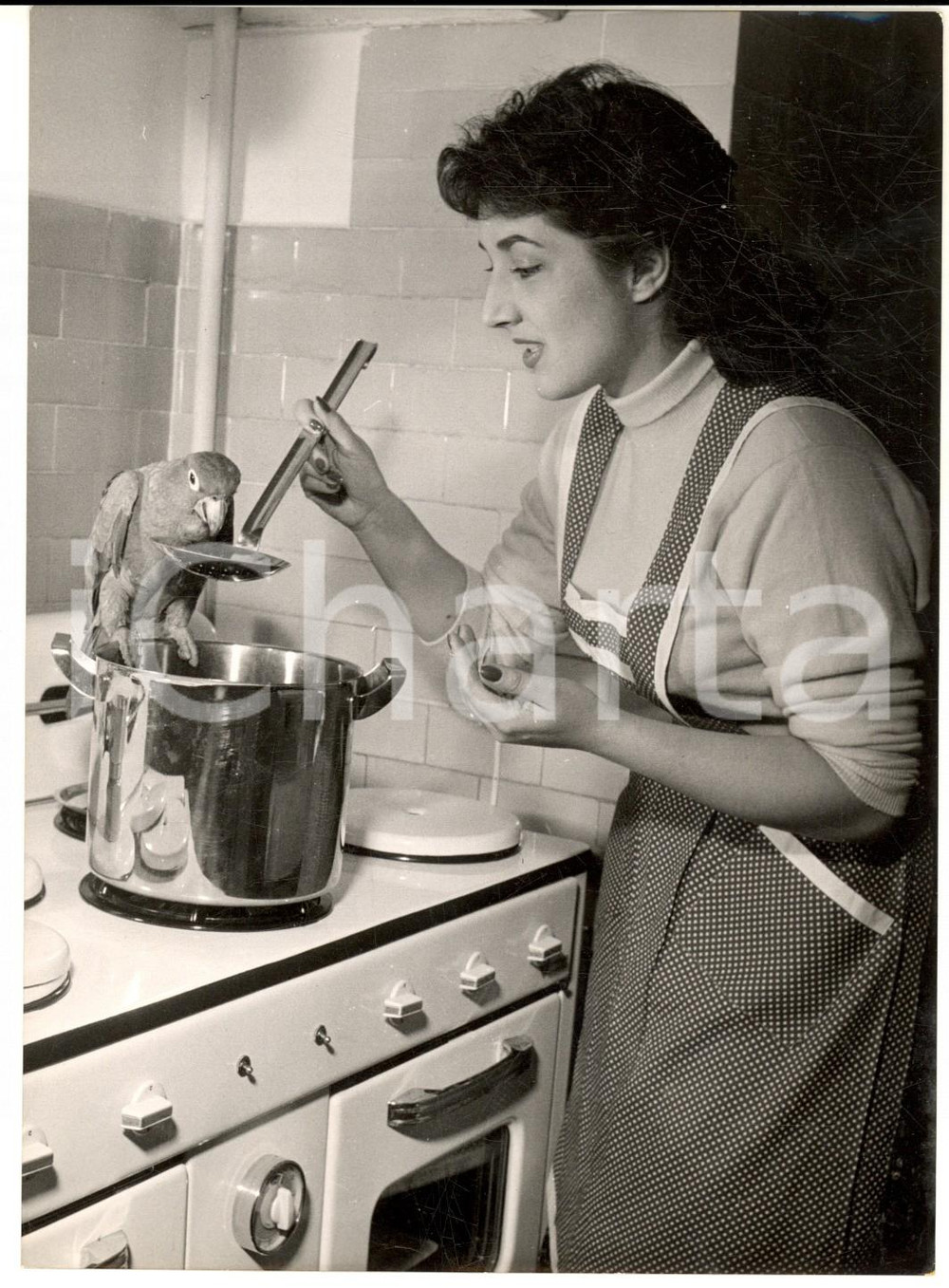 1955 ROMA Attrice Gianna ALFIERI cucina con un pappagallo *Foto 13x18 cm