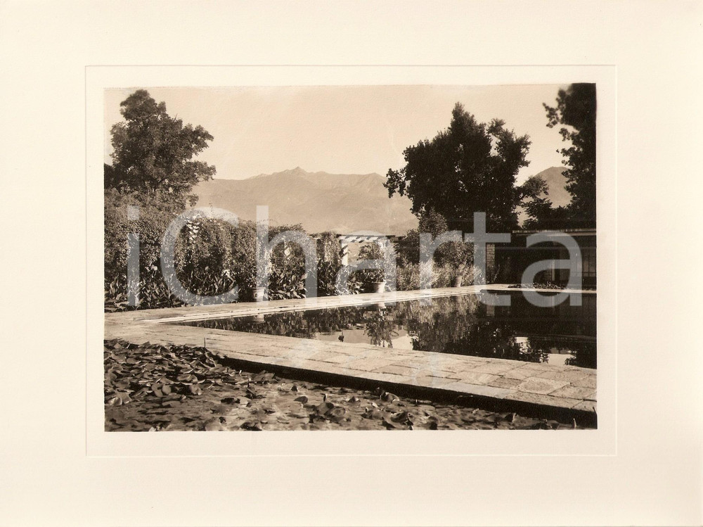 Fotografia d epoca originale 1940 ca VERBANIA INTRA Villa TARANTO Giardino botanico MONTE ZEDA Foto AUTENTICA 1
