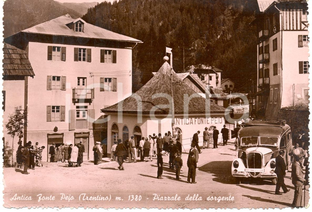 Cartolina originale da collezione 1955 PEJO (TN) Autocorriera per TONALE piazzale Antica FONTE PEJO *ANIMATA FG VG 1
