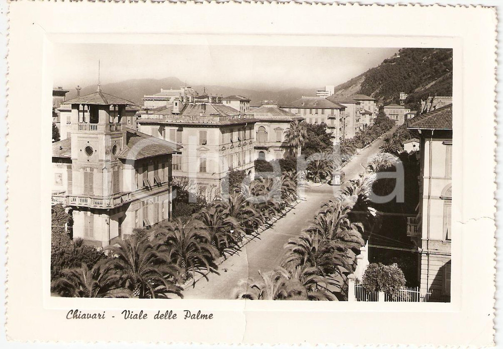 Cartolina originale da collezione 1955 CHIAVARI GE Scorcio Viale DELLE PALME ora Viale NICOLA ARATA FG VG 1