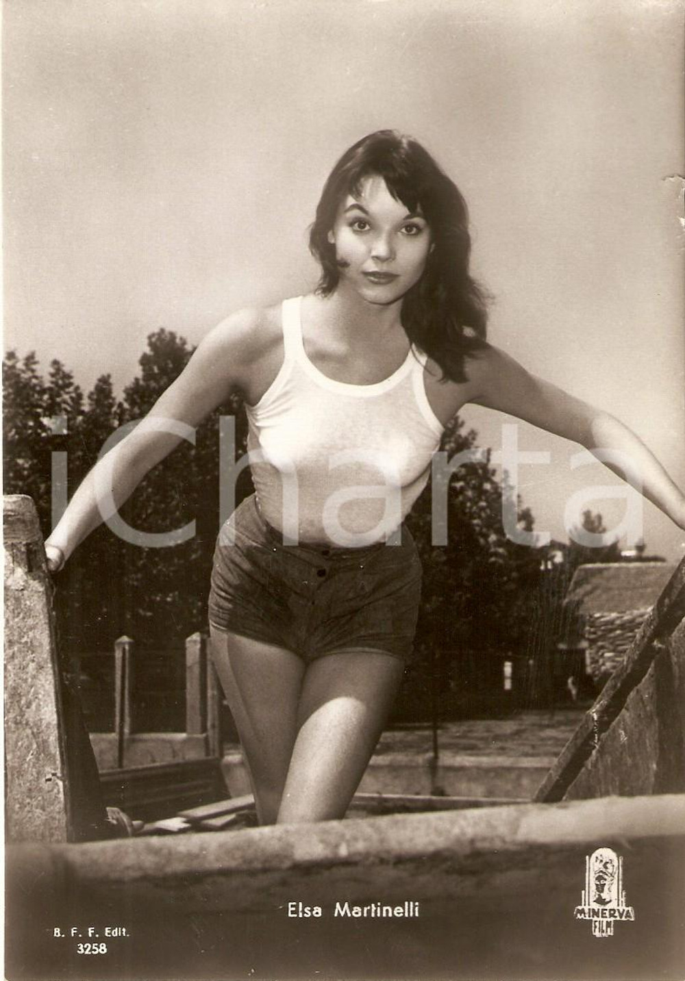 Cartolina originale da collezione 1960 ca CINEMA Attrice Elsa MARTINELLI Ritratto *Cartolina FG NV 1