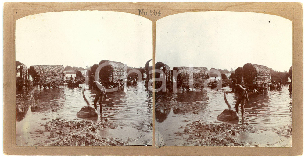 1900 ca SRI LANKA (?) Wagons crossing a river  - ANIMATED Stereoview 204 Fotografia stereoscopica d'epoca, su cartoncino rigido.Serie "International Stereoscope Association".FORMATO: 18x9 cmCONDIZIONI: F (lievi tracce di umidit&agrave; al lato superiore)    originale e autentica 1