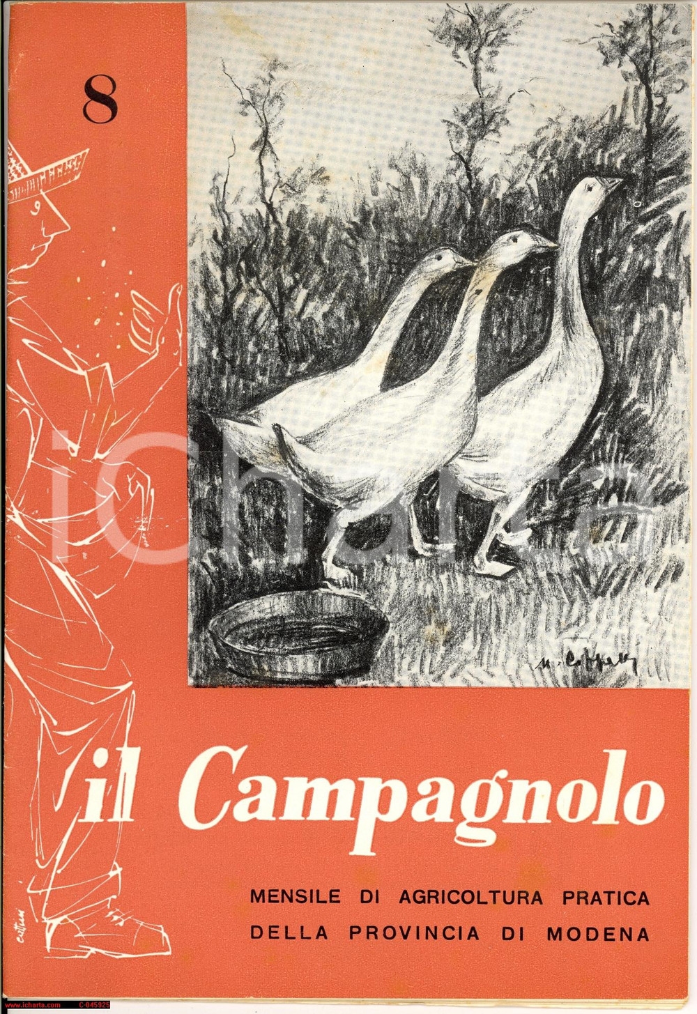 Giornale, rivista storica 1960 MODENA IL CAMPAGNOLO Rivista agricoltura nÂ°8 1