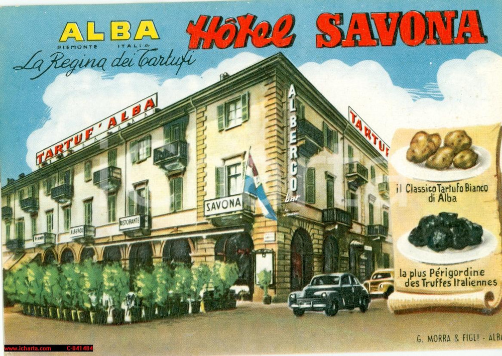 Cartolina originale da collezione 1960 circa ALBA (CN) La regina dei tartufi Hotel SAVONA 1