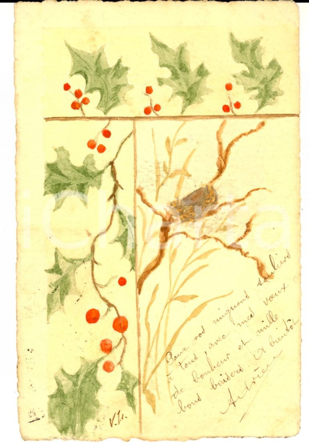 Cartolina originale da collezione 1903 TOULONSURMER F Cartolina con passero e agrifoglio DIPINTA A MANO 1