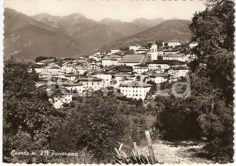 Cartolina originale da collezione 1958 COREDO (TN) Panorama *Cartolina postale FG VG 1