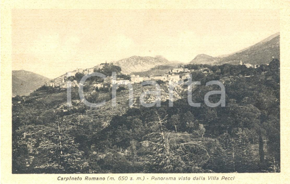 Cartolina originale da collezione 1953 CARPINETO ROMANO (RM) Panorama da Villa PECCI *Cartolina FP VG 1