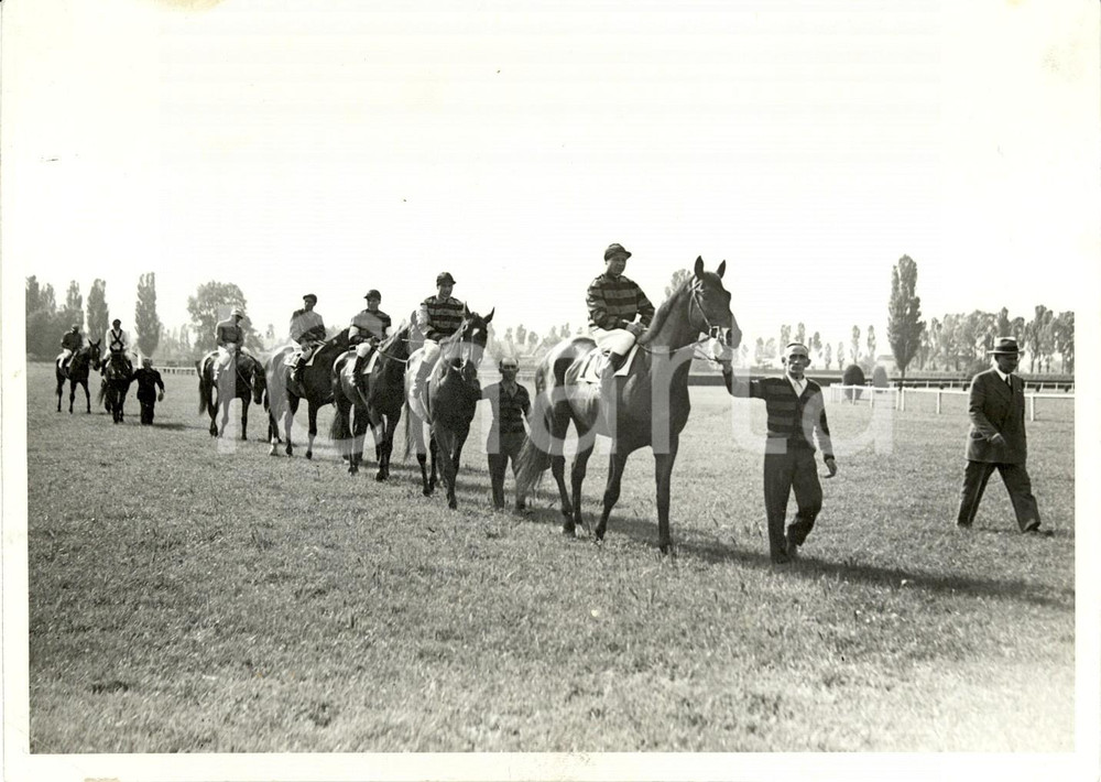 Fotografia d'epoca originale 1942 MILANO SAN SIRO Sfilata dei cavalli concorrenti al Gran Premio dell'Impero 1
