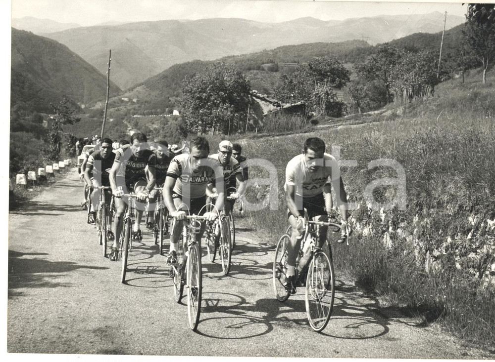 1967 CICLISMO GIRO D'ITALIA Vittorio ADORNI Antonio GOMEZ DEL MORAL nel gruppo Fotografia d'epoca con didascalia coeva al verso. CONDIZIONI: G FORMATO: 18x13 cm      originale e autentica 1