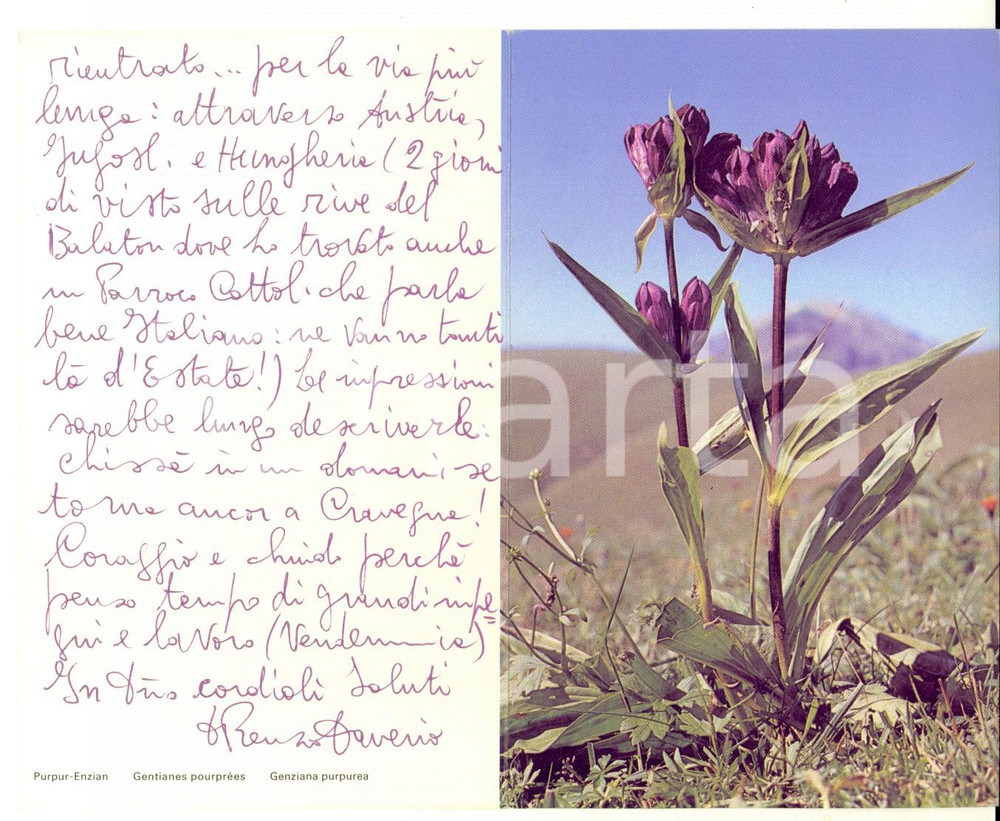 Autografo originale 1960 ca BIENO TN Biglietto di auguri don Renzo DAVERIO Autografo 1