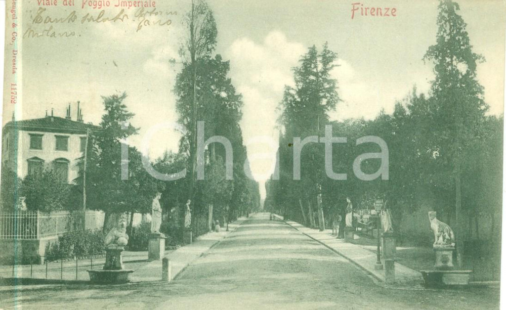 Cartolina originale da collezione 1900 FIRENZE Veduta di Viale del Poggio Imperiale Cartolina FP VG 1