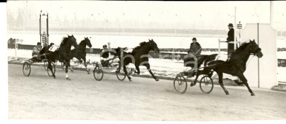 Fotografia d epoca originale 1939 IPPICA MILANO SAN SIRO Arrivo del Premio Bologna Fotografia 12x5 cm 1