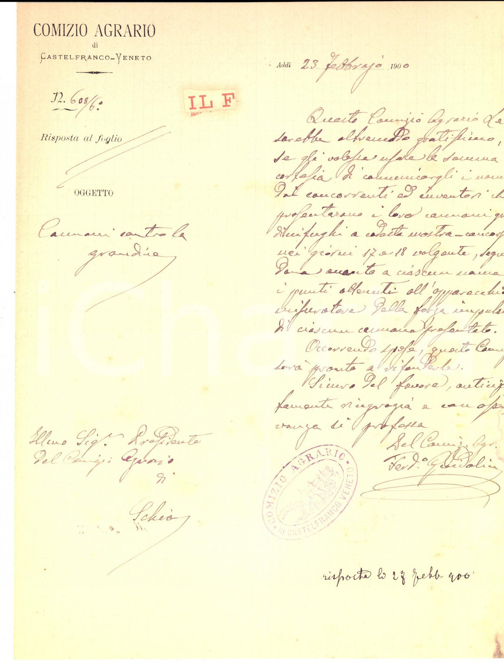 Documento originale, autentico 1900 CASTELFRANCO VENETO Concorso inventori di cannoni antigrandine *Lettera 1