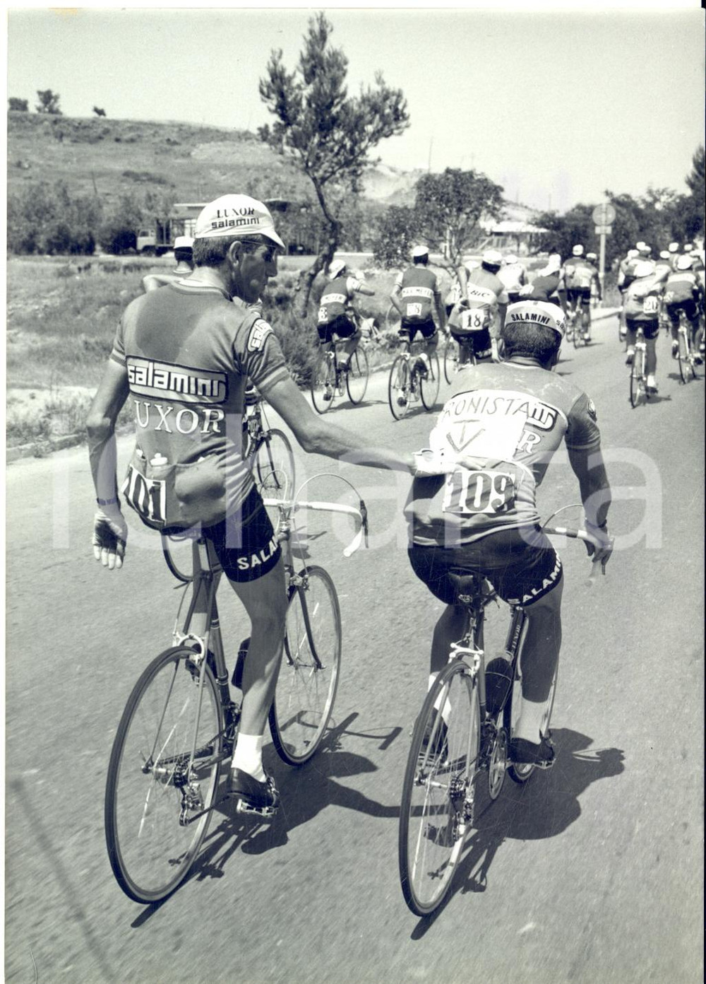 1967 GIRO D'ITALIA Vittorio ADORNI punzecchia il gregario Italo MAZZACURATI Fotografia d'epoca con didascalia coeva.  CONDIZIONI: G FORMATO: 13x18 cm     originale e autentica 1
