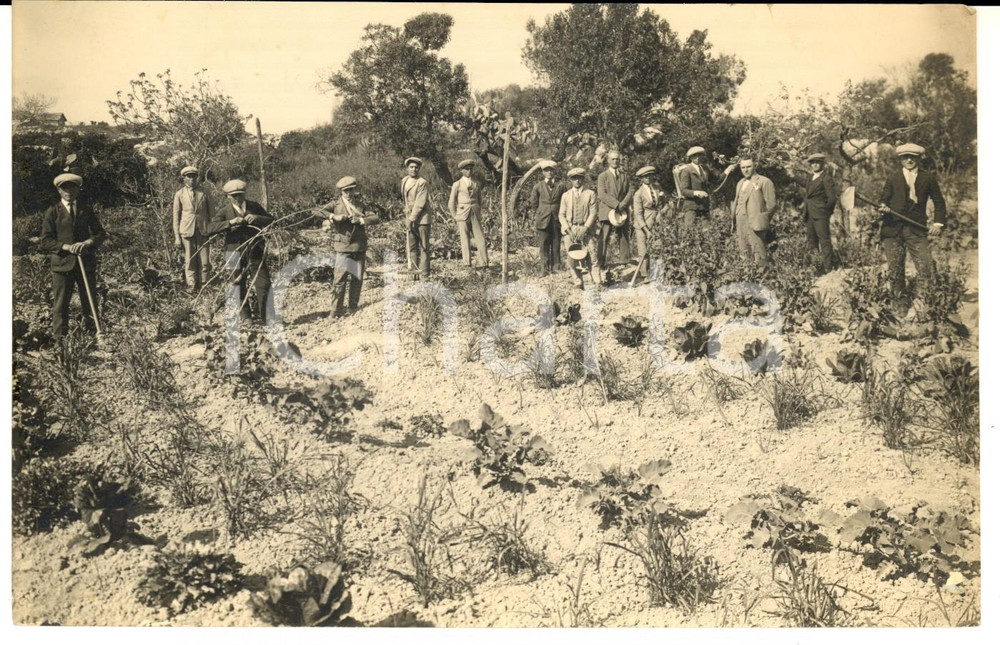 Fotografia d epoca originale 1930 ca AREA BOLOGNESE Allievi di una scuola di agricoltura al lavoro Foto 1