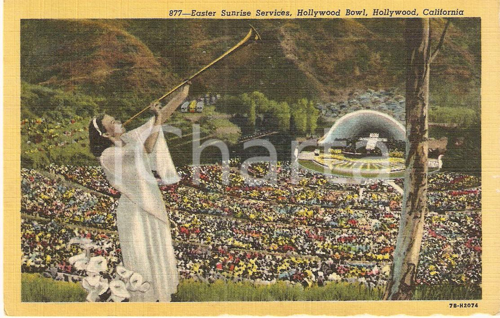 Cartolina originale da collezione 1950 ca CALIFORNIA USA HOLLYWOOD BOWL Easter Sunrise Services Postcard FP NV 1