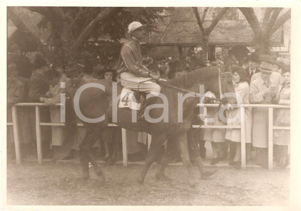 Fotografia d'epoca originale 1942 ROMA IPPICA Premio REGINA ELENA Cavallo Venere montato da C. PANDOLFI *Foto 1