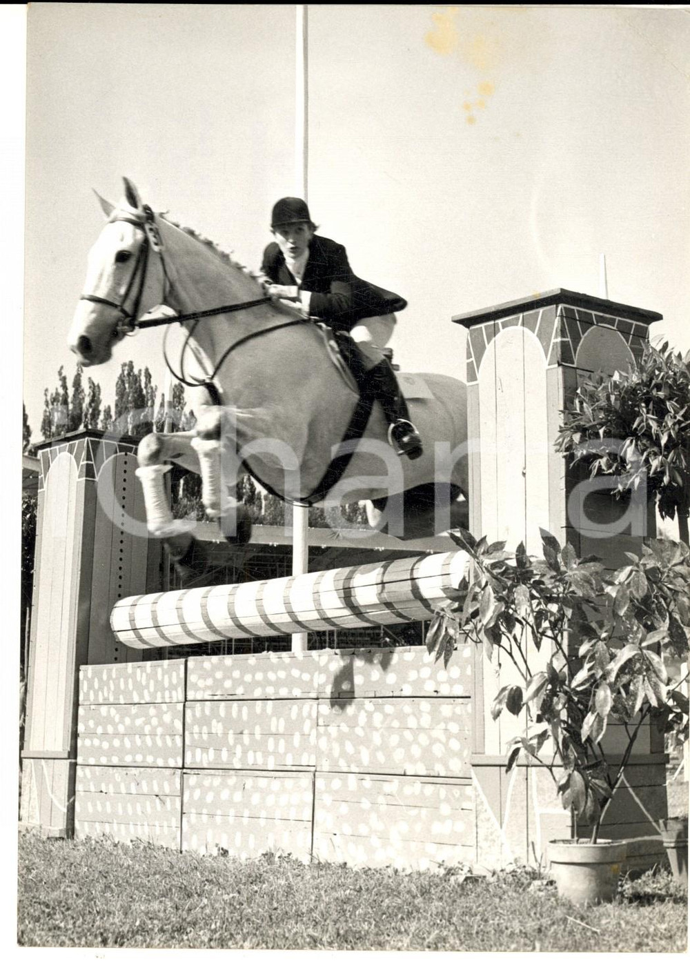 1960 STUPINIGI IPPICA Gran Premio Petrol Caltex - Anna CUSTOZA su Chascomus FOTO