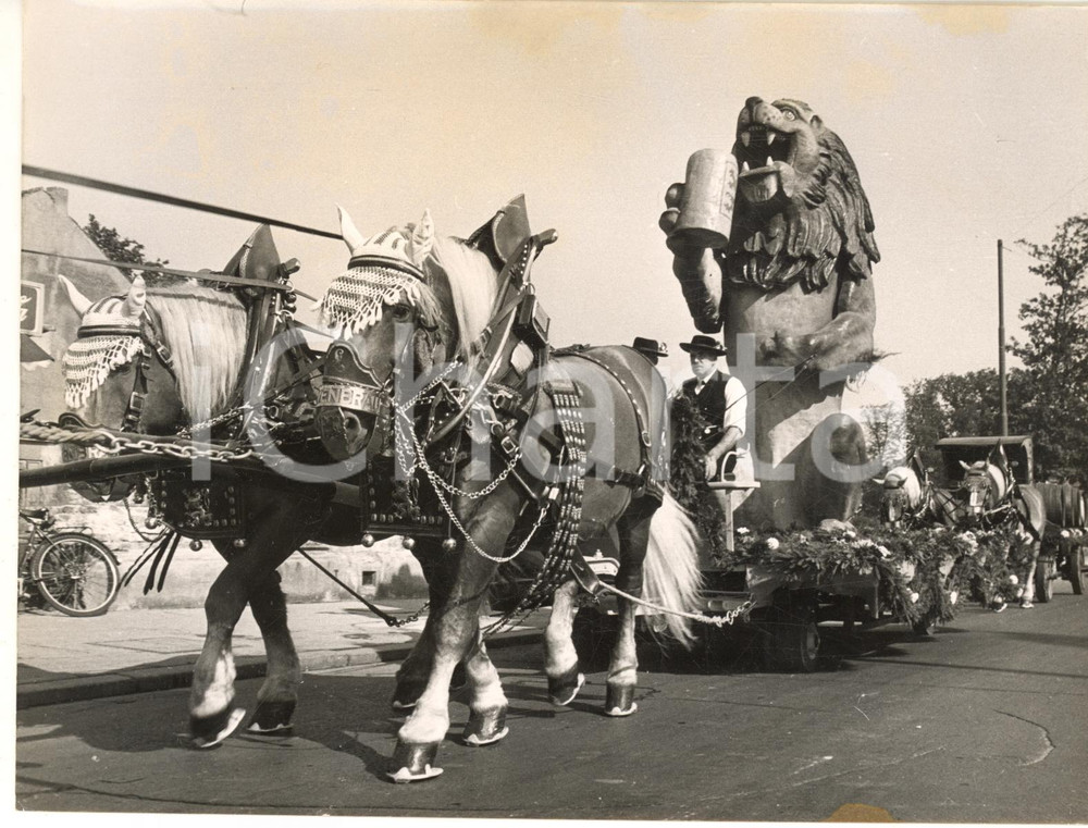 1953 MUNICH Oktoberfest - The lion-brewery drawn by brewery-horses - Photo 20x15