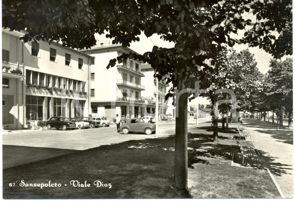 Cartolina originale da collezione 1965 SANSEPOLCRO (AR) Automobili lungo via DIAZ *Cartolina FG VG 1