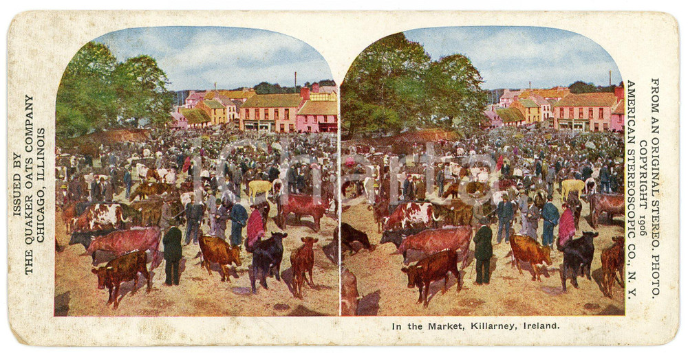 1906 KILLARNEY (IRELAND) In the Market - Coloured Vintage Stereoview Fotografia stereoscopica d'epoca, su cartoncino.FORMATO: 18x9 cmCONDIZIONI: P (fioriture e sbrecciature all'angolo inferiore sinistro)EDITORE: The Quaker Oats Company, Chicago    originale e autentica 1
