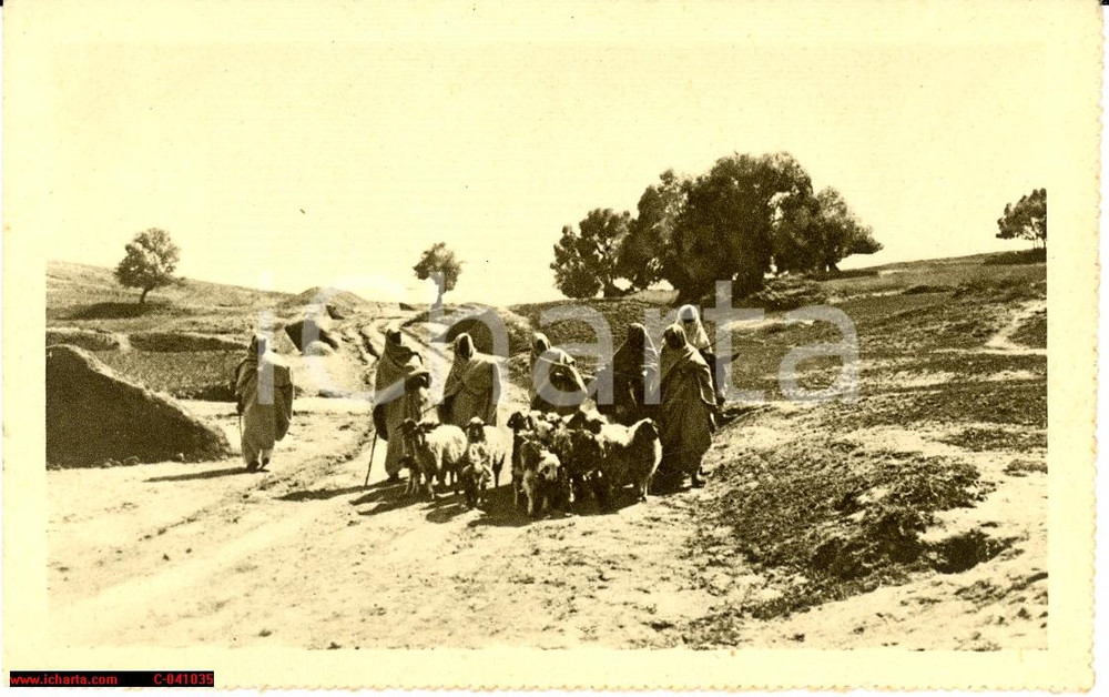 Cartolina originale da collezione 1935 Tripolitania - Pastori sul Garian FP NV 1
