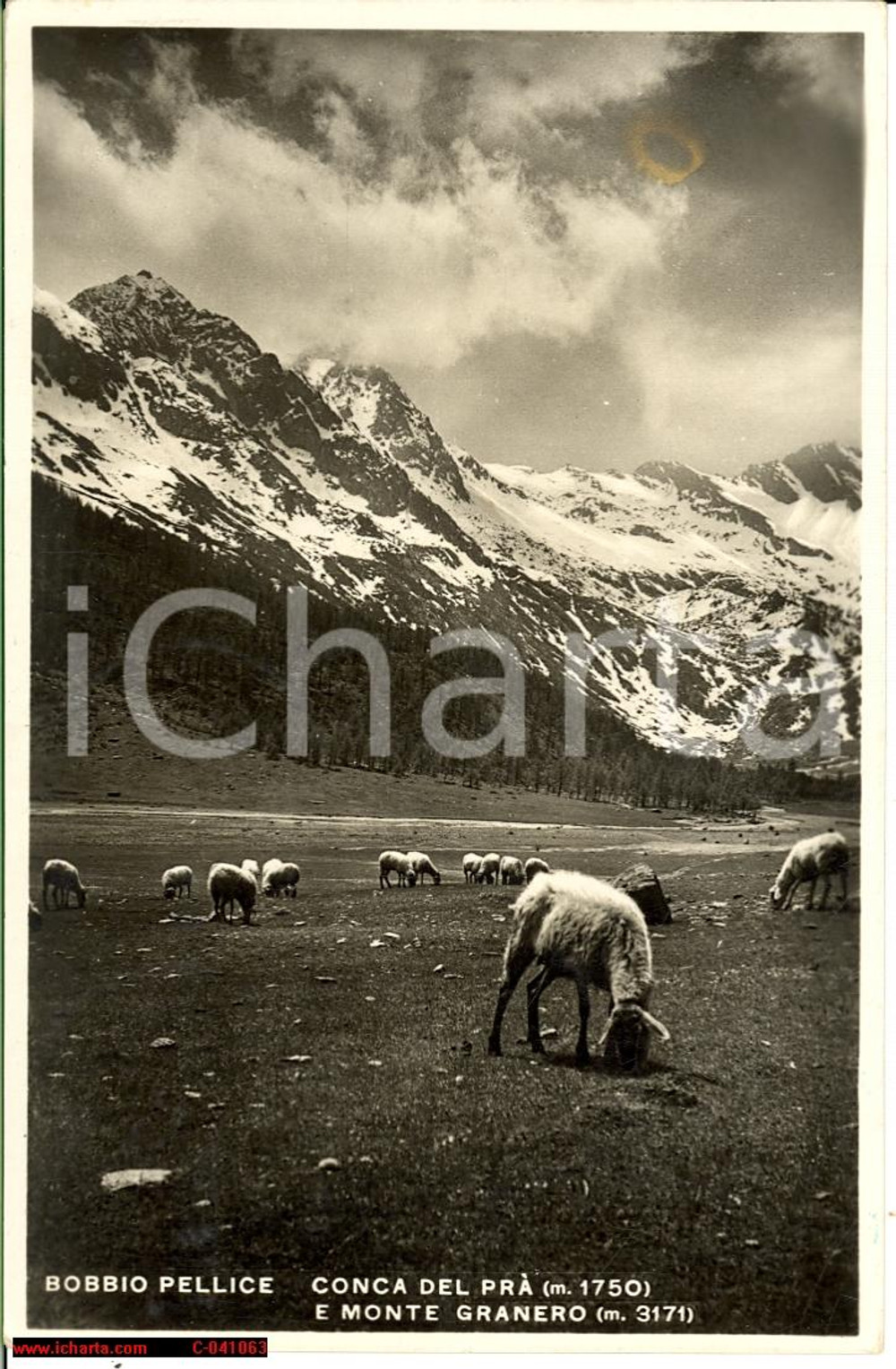 Cartolina originale da collezione 1938 BOBBIO PELLICE (TO) Veduta pecore CONCA DEL PRA' 1