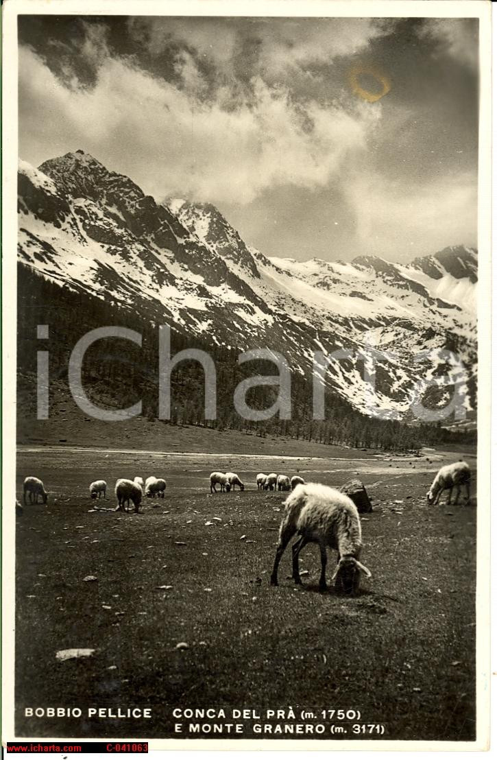 Cartolina originale da collezione 1938 BOBBIO PELLICE TO Veduta pecore CONCA DEL PRA 1